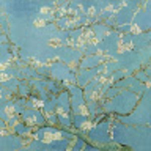 Meet your Posher, Kaija